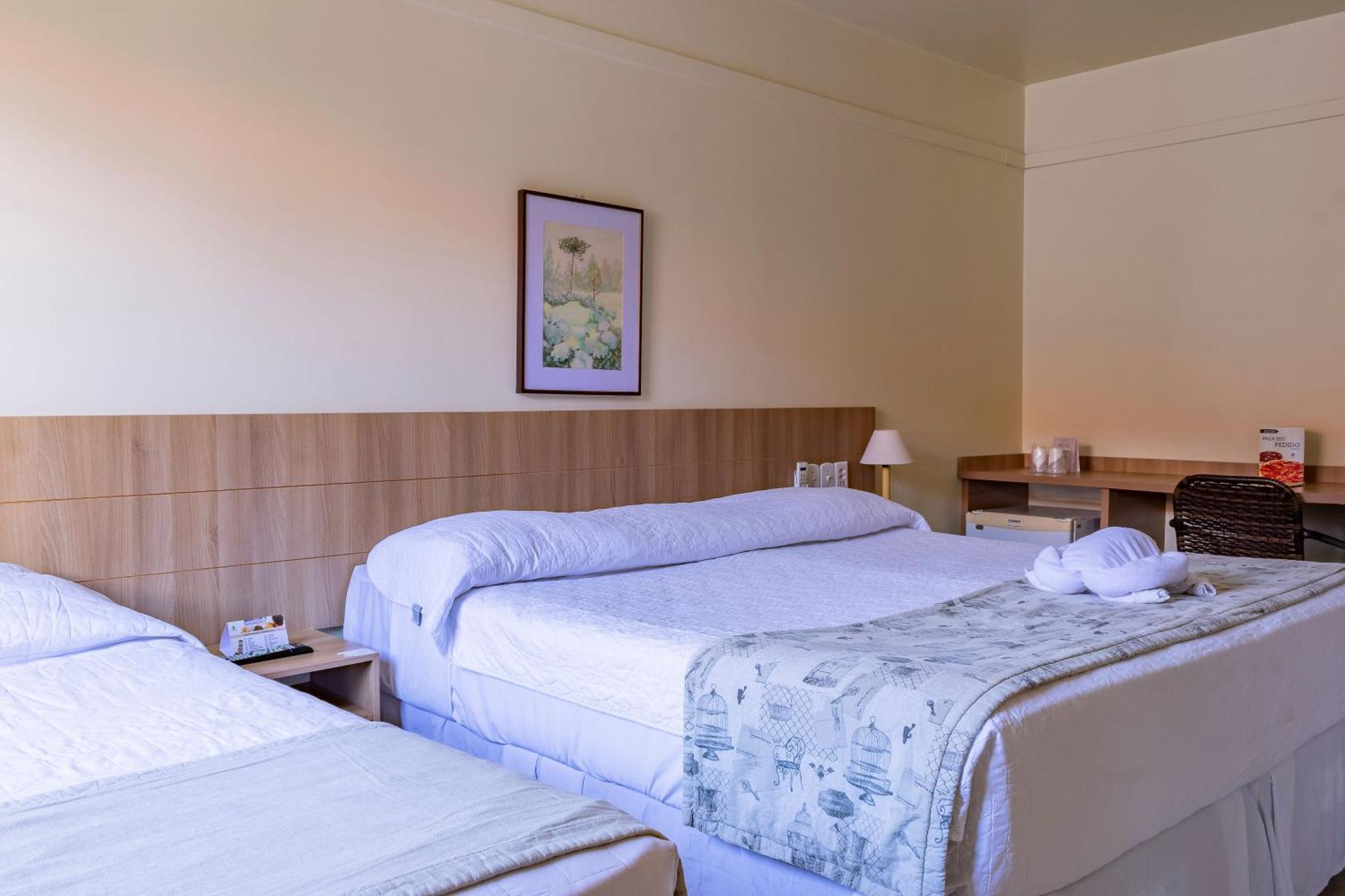 Standard Single Room,1645011159:JPEG